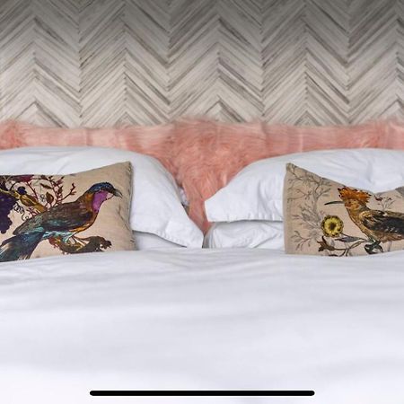 Attractive Comfortable Room In Friendly House 哈斯丁 外观 照片