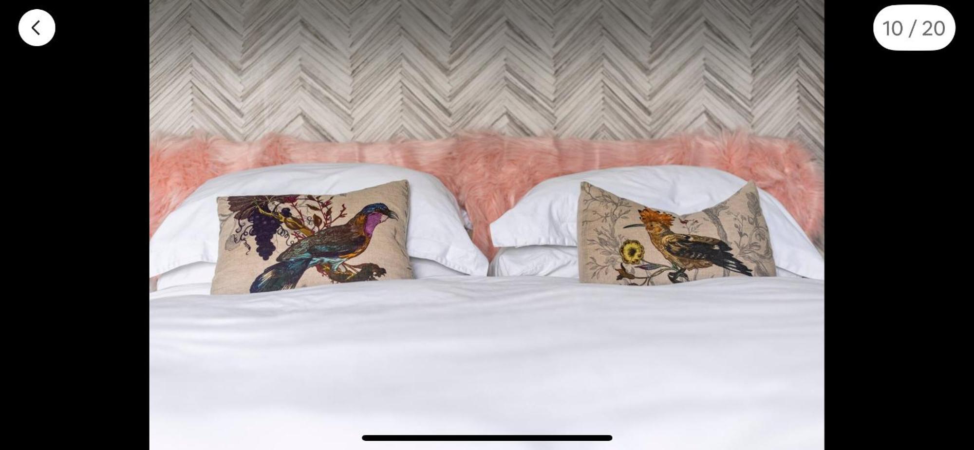 Attractive Comfortable Room In Friendly House 哈斯丁 外观 照片